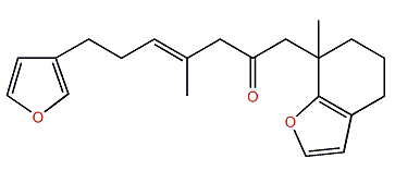 Cyclofurospongin 2